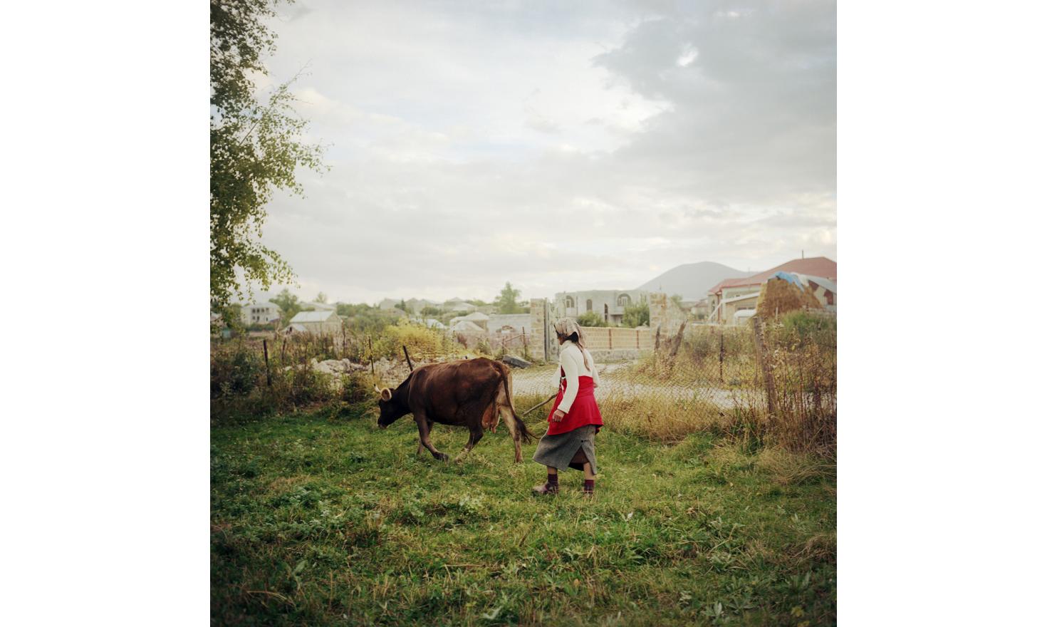 Cirush fetches her cow in the evening. Her husband and one of her sons work in Russia. Her other son is doing his military service in Nagorno-Karabakh. So Cirush make her own way and takes care of her stepmother, aged 90.
