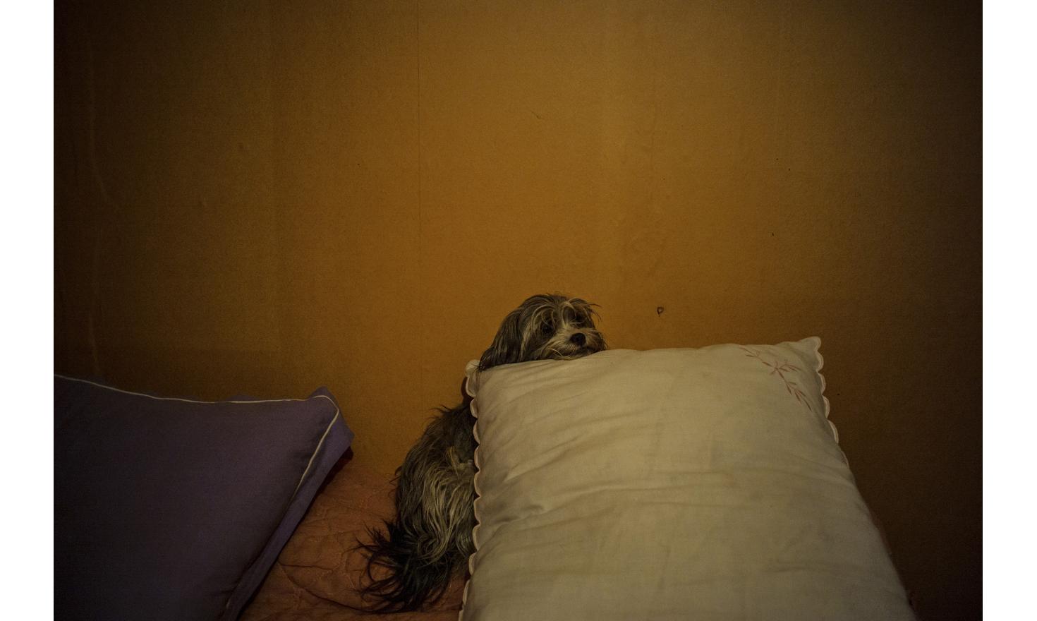 ©Ulrich Lebeuf / M.Y.O.P Isabelle's room.