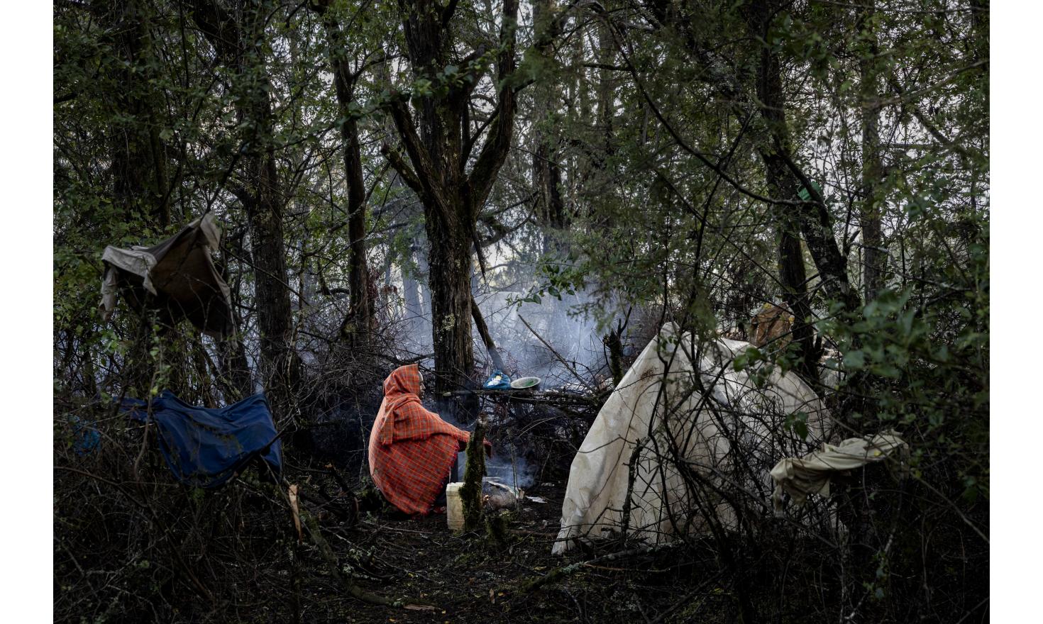 ©Adrienne Surpenant