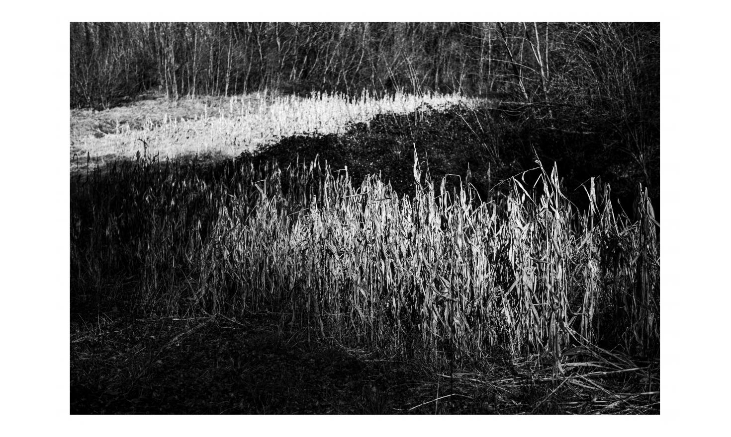 les terres froides les terres froides