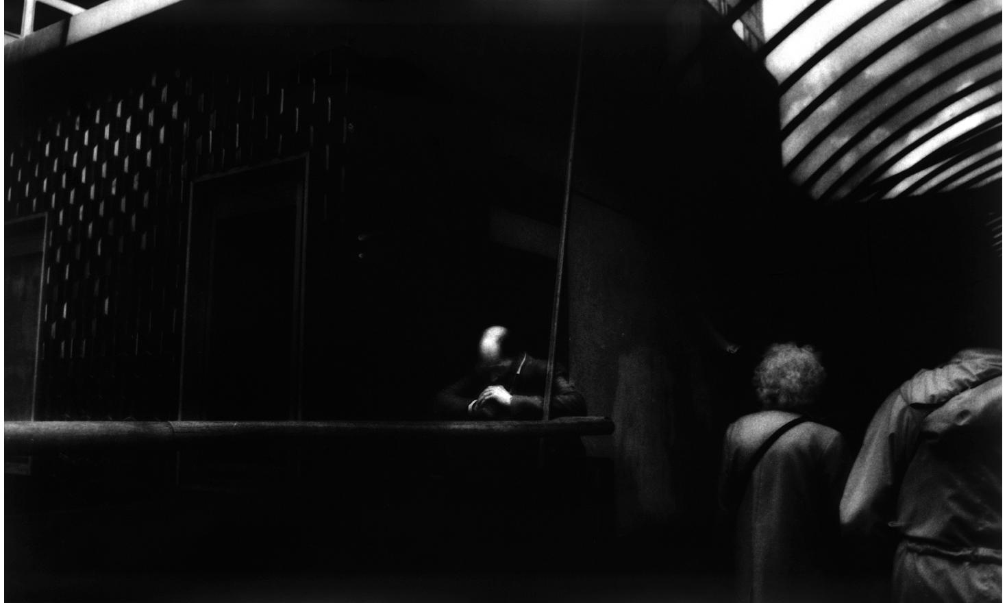 Je suis le chien Pitié